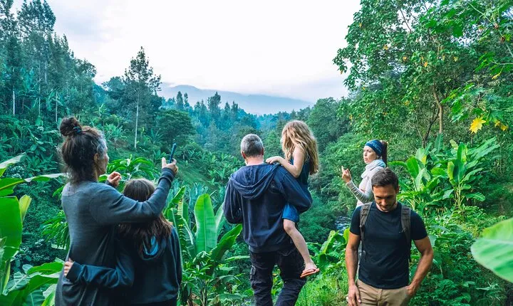 Banana Bliss Plantation Coffee Medicinal and Waterfall Tour