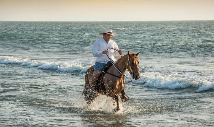 Horseback riding tour in a Colombian Paso fino horse