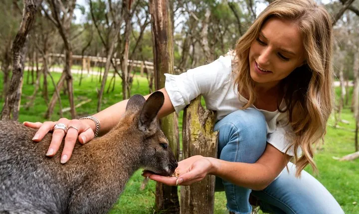 Full-Day Penguins and Wildlife Nature Experience from Melbourne