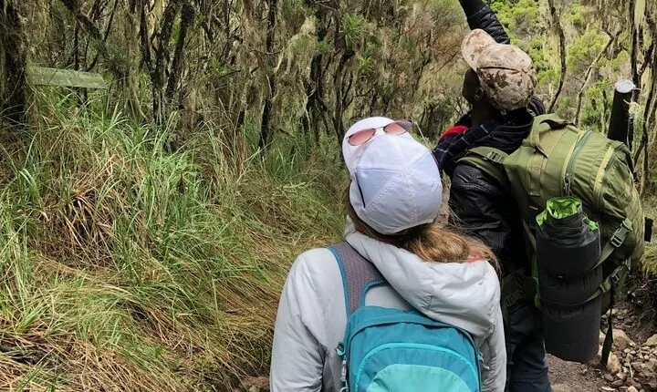 Lemosho route climbing Kilimanjaro 8 Days