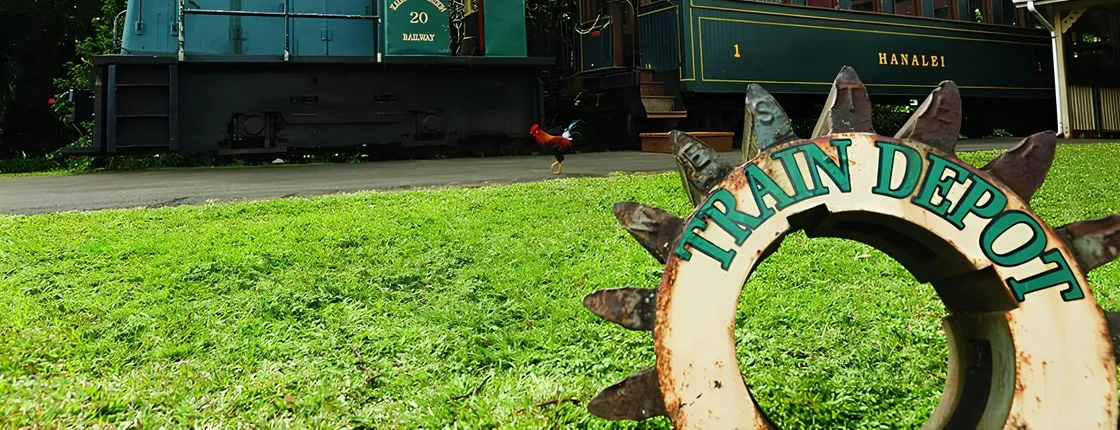 Luau Kalamaku Premier Gold Package with Train Ride Experience