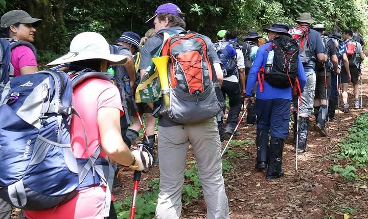 1 Day Kilimanjaro Hike Machame Route