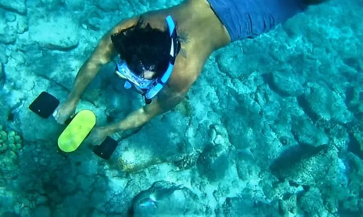 Kauai Snorkeling Adventure