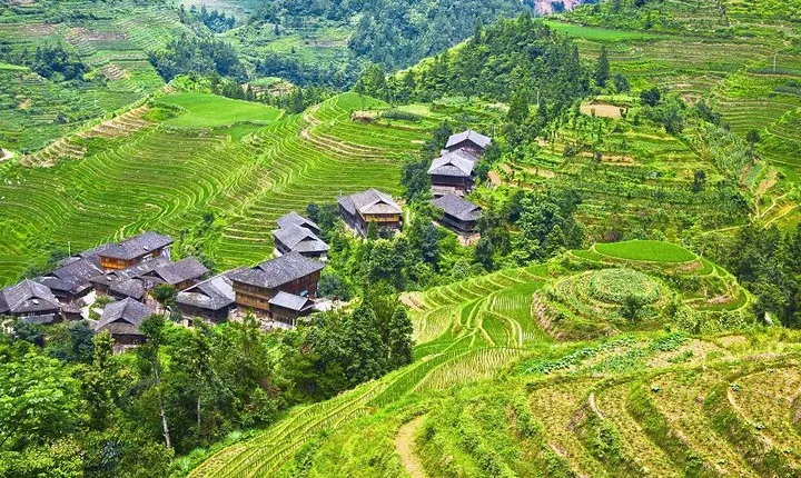 Private Tour of Dragon's Backbone Rice Terraces in Longsheng