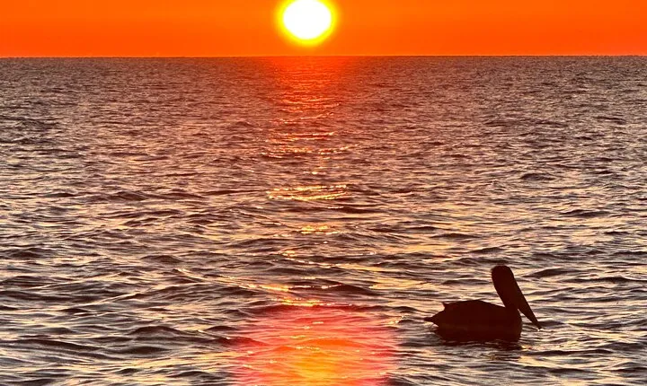 Daytona Beach: Sunrise Cruise on the Atlantic Ocean