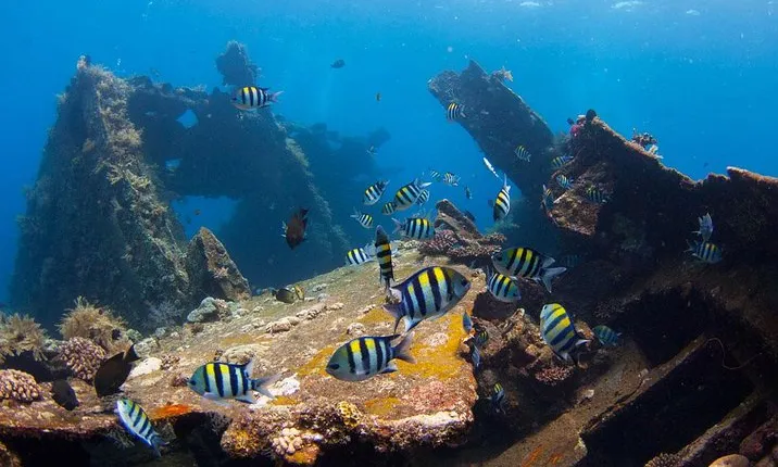 Shipwreck Diving At Tulamben