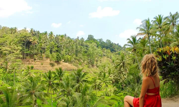 Best of Bali in 3 Days - Private Tour Package