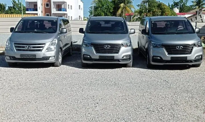 Private Roundtrip Transfer from Punta Cana Airport to Hotels