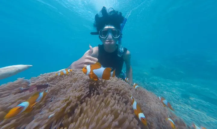 Snorkel the Beautiful Blue Lagoon