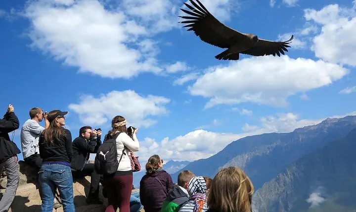 2 Days and 1 Night Tour from Puno to Colca Canyon and Arequipa