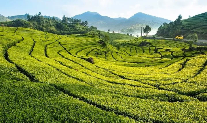 4 Day 3 Night City Tour Jakarta - Bandung