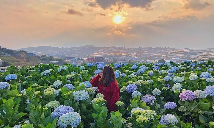 Full Day Car Tour Excursion Dalat ( Minimum 4 guest)