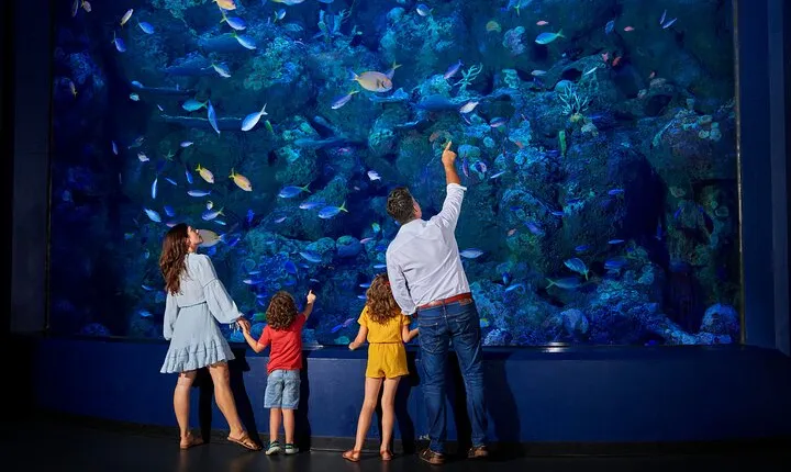 Night at the Aquarium Tour