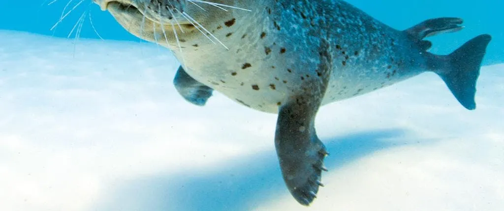 Marineland