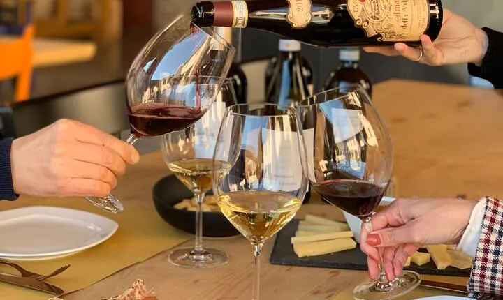 Vineyard Tour with Light Lunch in Valpolicella