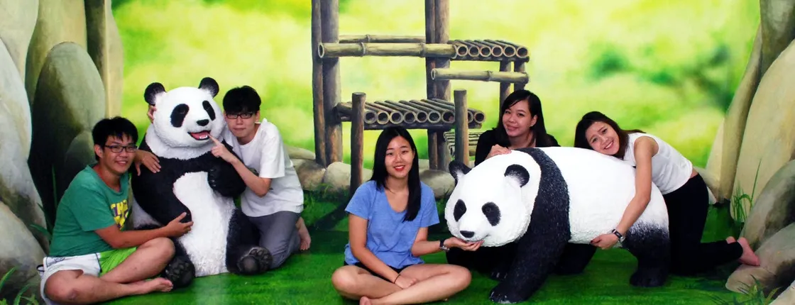 Admission e-ticket to the Penang 3D Art Museum