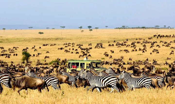 Best Of Six Days Safari Camping safari