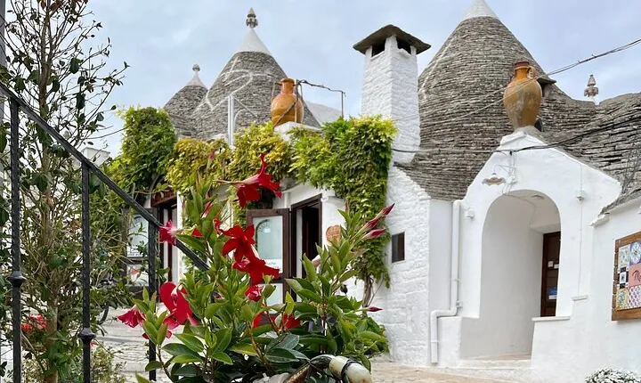 Alberobello & Matera, From Bari with Comfortable Transport