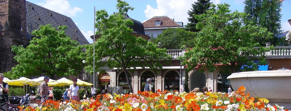 Private guided tour of Bozen in Trentino Alto Adige