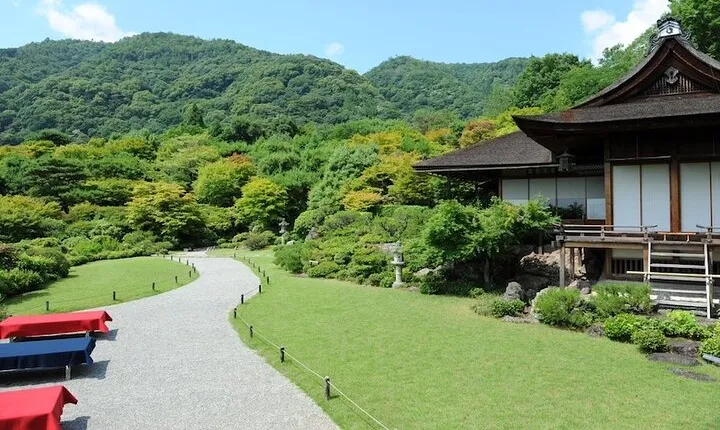 Arashiyama Bamboo & "Must See" Gardens with an Amazing Guide