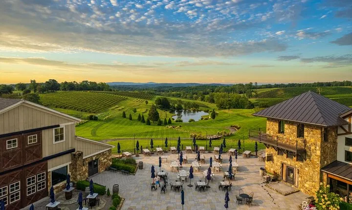 Luxury Wine Tour in Washington DC to Loudoun County Vineyards