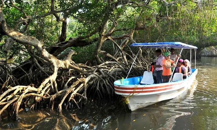 Veracruz City Tour with San Juan de Ulúa and Mandinga Boat