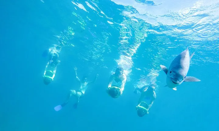 Los Cabos Power snorkel Adventure, Kayaking and Stand-Up Paddle