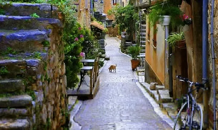 French Riviera & Medieval villages Full Day Private Tour