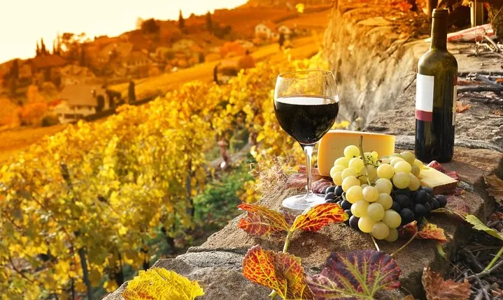 Montepulciano and Pienza Tuscany Wine&Cheese Fullday from Florence