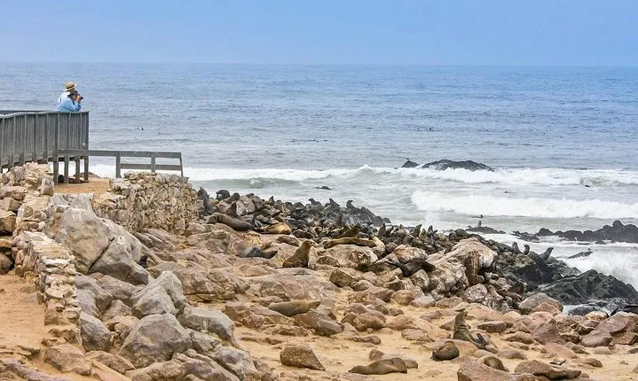 Full Day Drive to Cape Cross