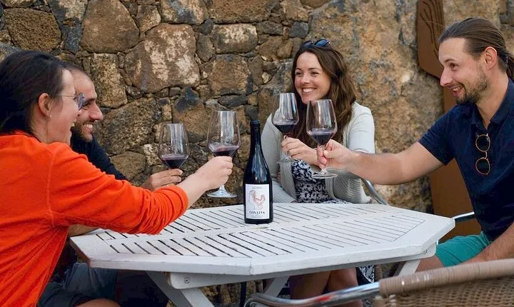 Vineyard tour with wine tasting and local products