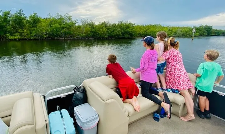 Dolphin/Manatee Pontoon Boat Tour with Local Expert