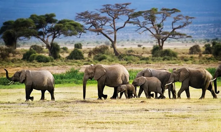2-Day Tanzania Mid Range Private Safari
