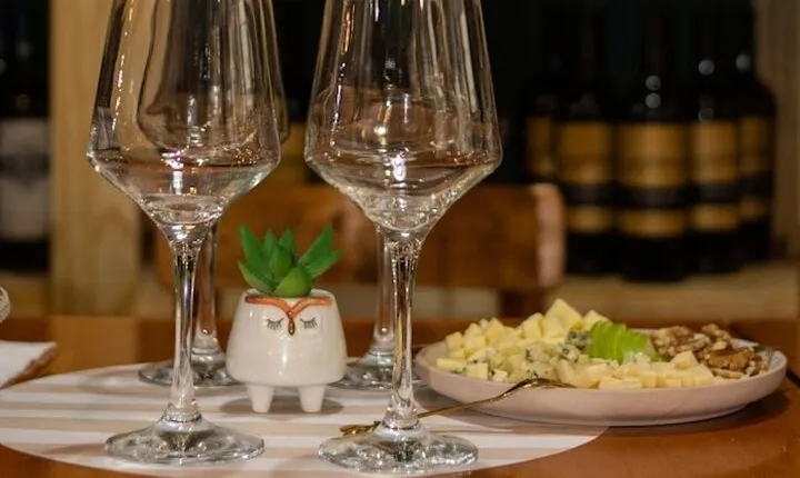 Wine Tasting at Downtown Buenos Aires Ego Experience