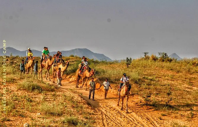 Camel Safari In Pushkar