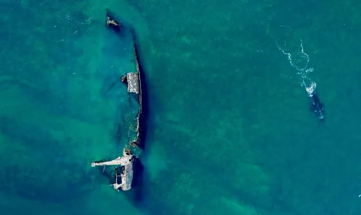 3 Hour Snorkeling Experience in a Sunken Ship