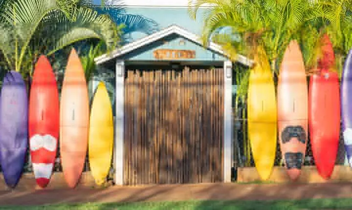 Best of Maui Tour: Sips, Sites and Bites with Lunch