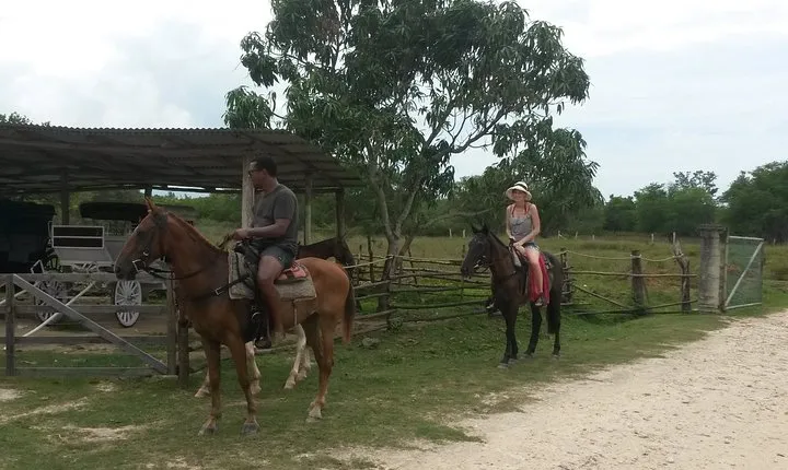 Horseback Ride and Mayfield Falls combo from Negril