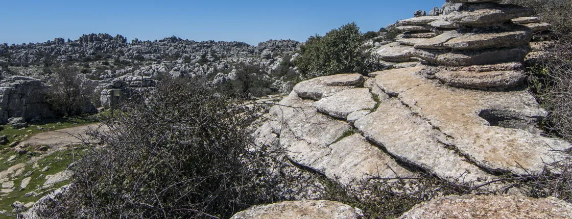 Antequera and El Torcal full-day trip from Granada
