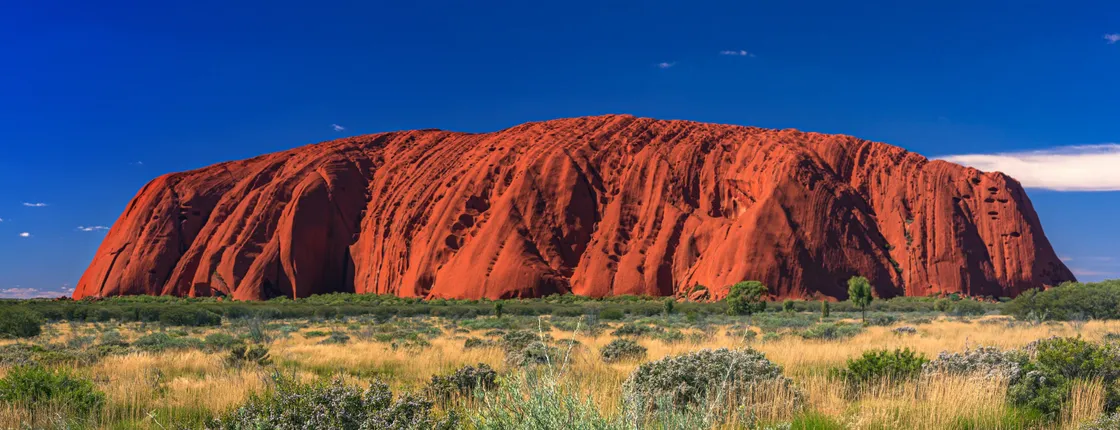 Uluru Sunrise and Field of Light