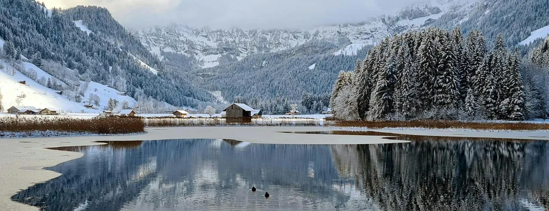 Bernese Oberland winter edition private tour from Zürich