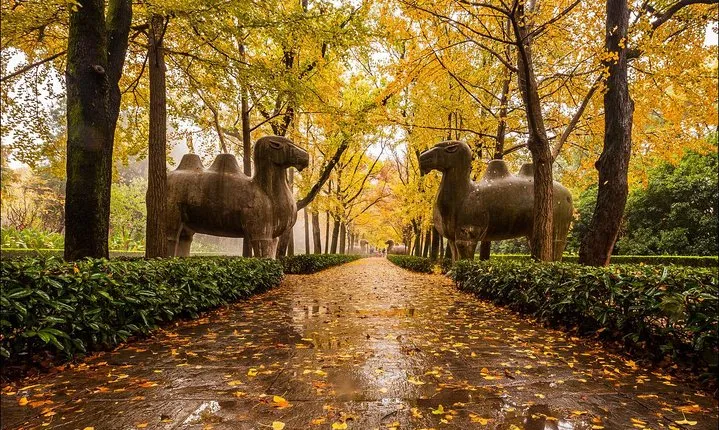 Nanjing Day Tour from Shanghai by Bullet Train