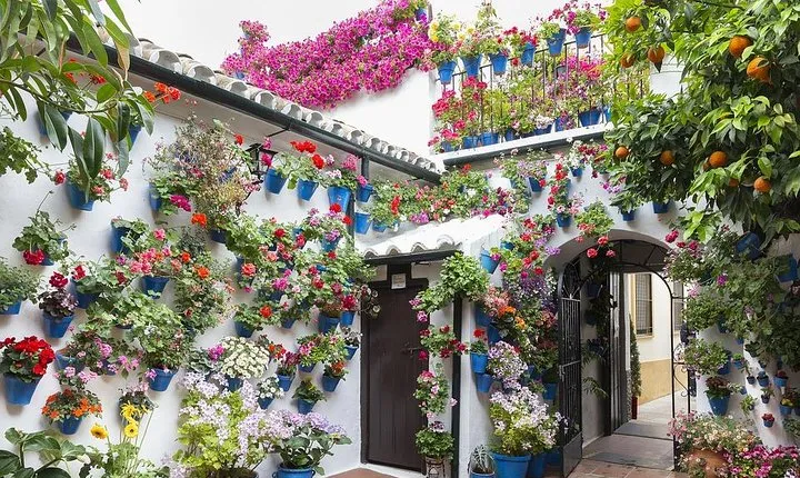 Private Tour: the Courtyards of Cordoba