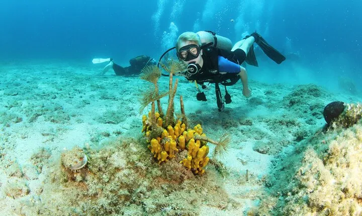 Boat Trip and Diving for Beginners–2 Dives Free Underwater Photos