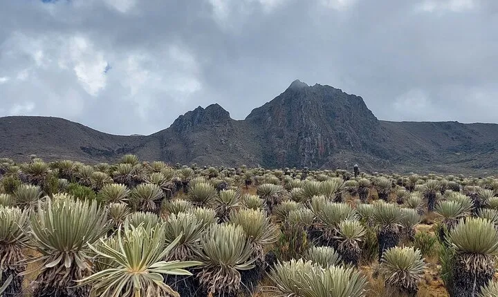 The biggest paramo on earth: Sumapaz