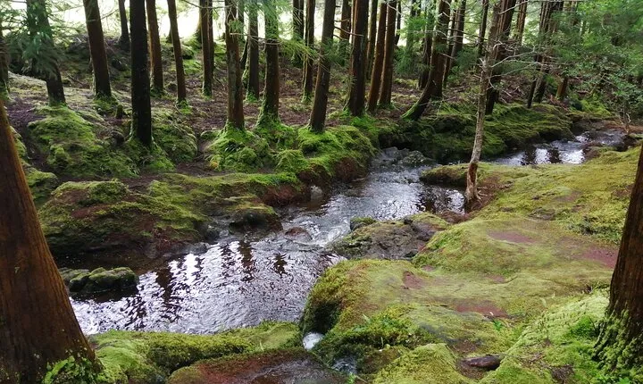 Terceira Island Transfers | Azores
