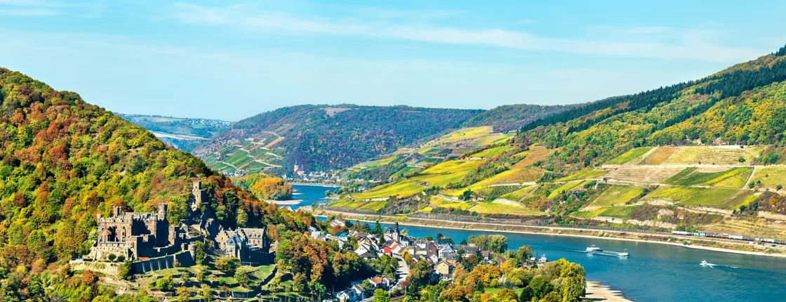 Ticket for Rhine castle cruise from Rüdesheim