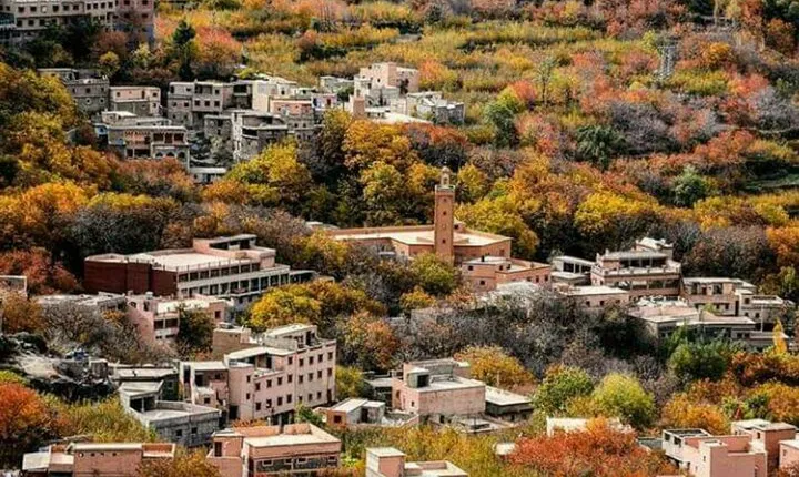 Atlas mountains privat day trip 