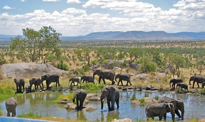 Full Day Hluhluwe Imfolozi Private Game Reserve from Durban