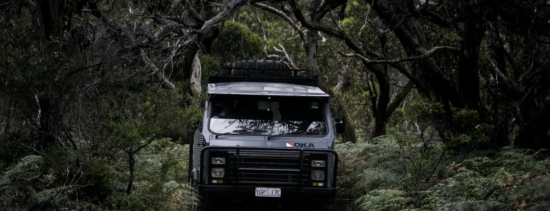 French Island and Phillip Island wildlife tour